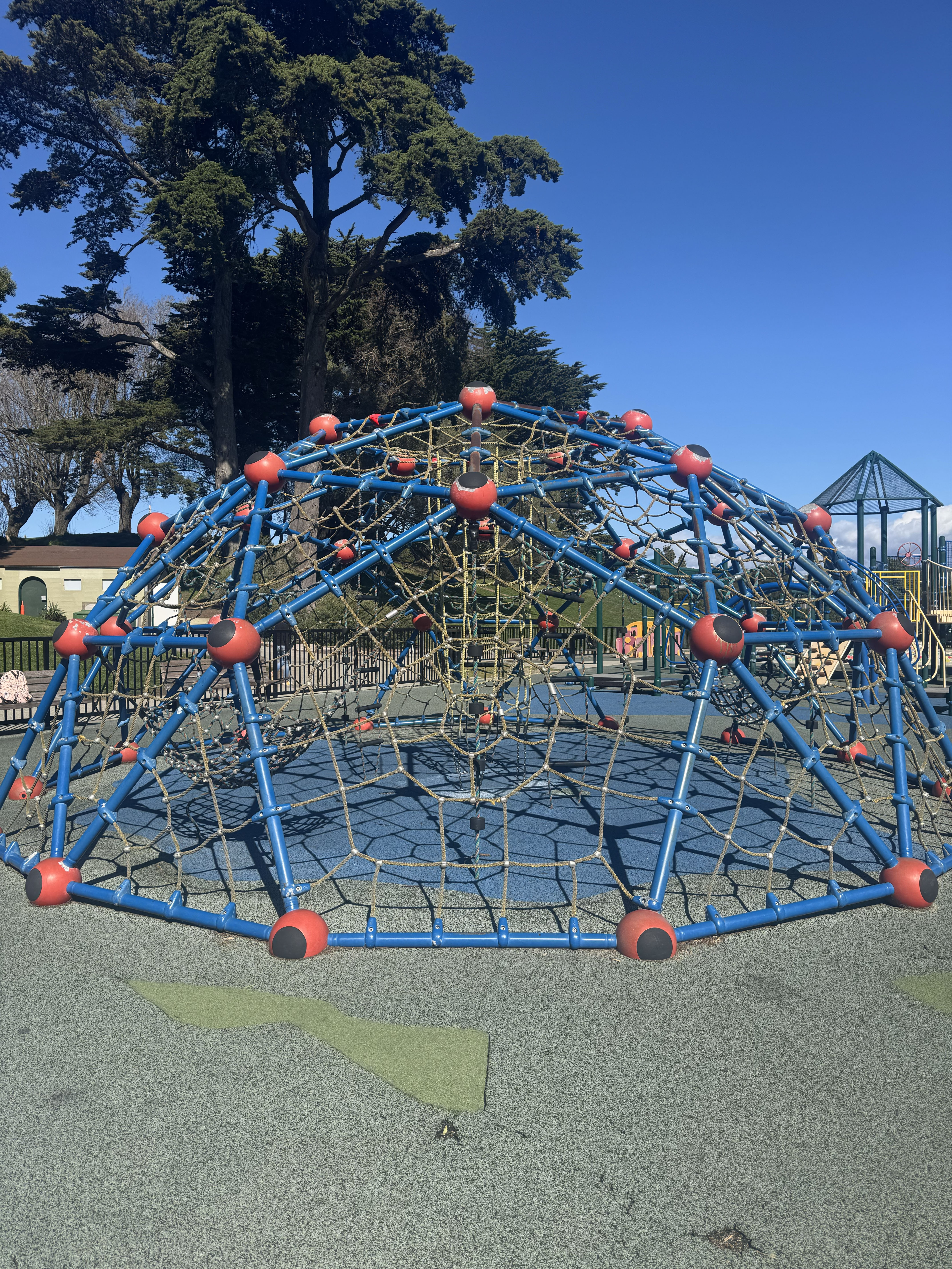 Alta Plaza image 3